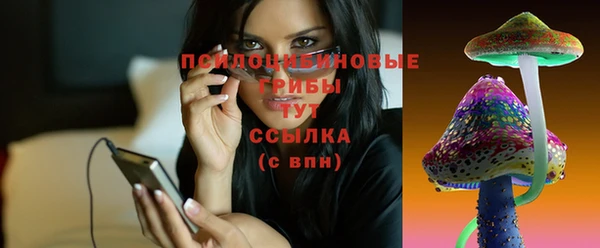 не бодяженный Приозерск