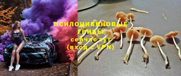мяу мяу кристалл Покачи