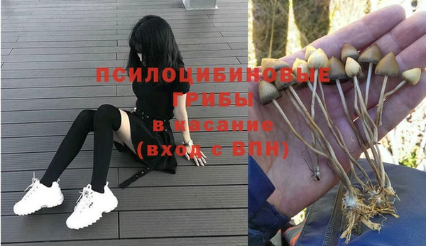 таблы Покровск