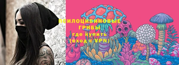 бошки Пролетарск