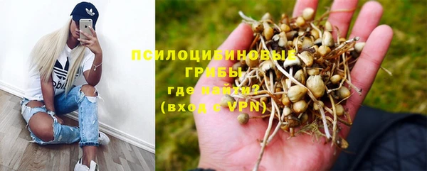 мяу мяу кристалл Покачи