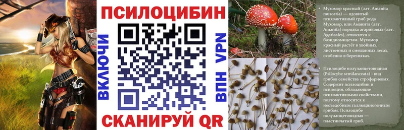 Псилоцибиновые грибы ЛСД  mega   Ветлуга 