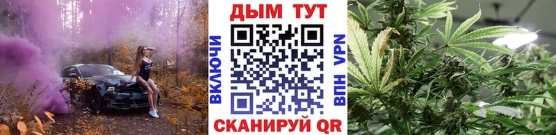 Бошки Шишки THC 21%  цены наркотик  Ветлуга 